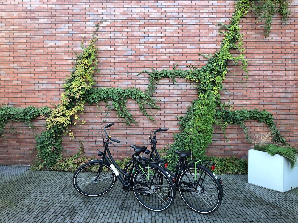 Hotel Hyatt Place Amsterdam Airport Hoofddorp